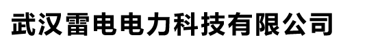 雷电电力官网